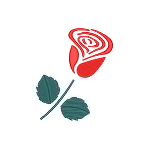  Rosa