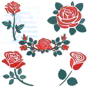  Rosas