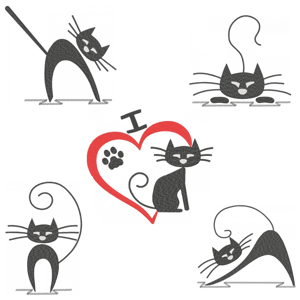  Amo Gato