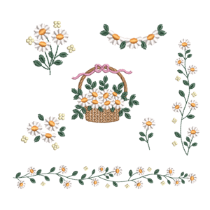  Margaridas