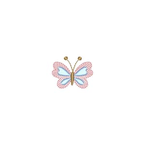 Borboleta Delicada