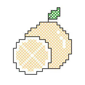 Fruit Embroidery Design