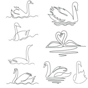  Cisne Minimalista (Contorno)