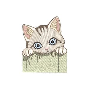 Gatinho  e Tapete