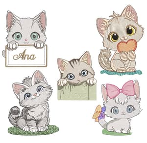  Gatinhos