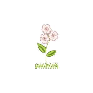 Margaridinha (Pontos Leves)