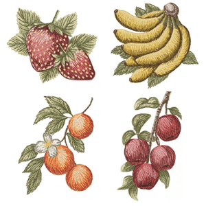  Frutas Realistas (Realístico)