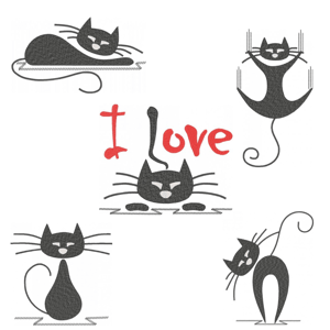 Gatos
