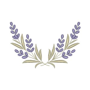 Lavanda
