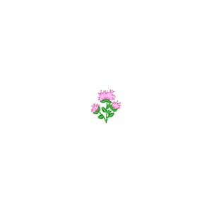 Florzinha com Galhinhos e Folhinhas (Pontos Leves)