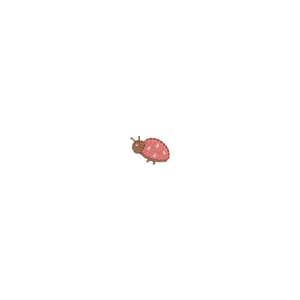 Joaninha Mini para Composição