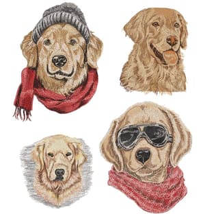  Golden Retriever (Realísticos)