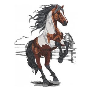 Cavalo Paisagem