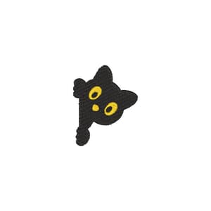 Gatinho Curioso
