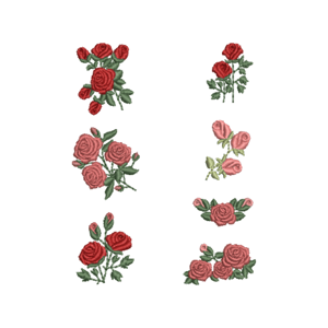  Mini Rosas