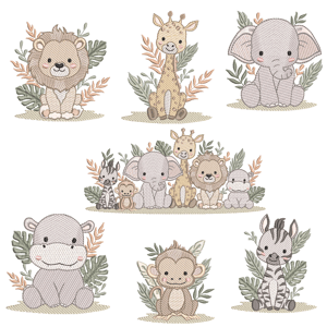  Safari (Pontos Leves)