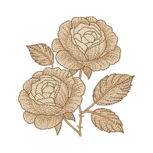 Floral de Rosas Realistas (Pontos Leves)
