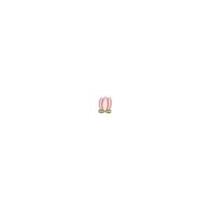 Mini Flor