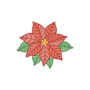 Flor de Natal Poinsétia (Pontos Leves)