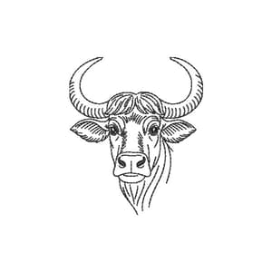 Búfalo (Contorno)