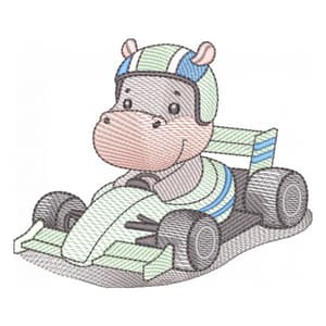 Hipopiloto de automobilismo