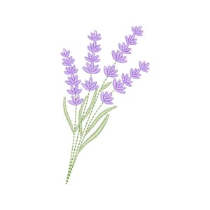 Charme provençal