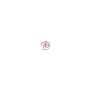 Mini Rosa