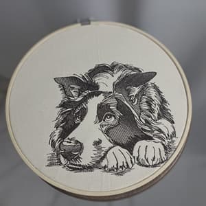 Border Collie (Realístico)