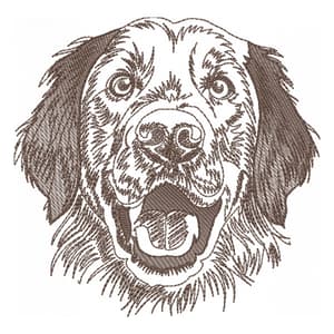 Golden Retriever (Realístico)