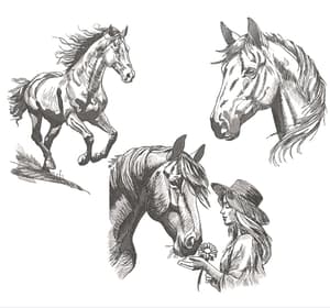  Cavalos Elegantes (Realístico)