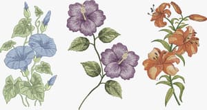  Florais Coloridos (Realístico)