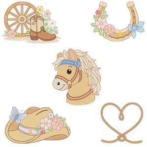  Country (pontos Leves)