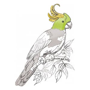 Cacatua Imperial (Realístico)