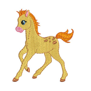 Pony Embroidery Design