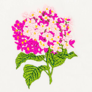 Matriz de bordado floral 494