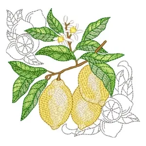 Matriz de bordado Limão