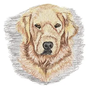 Matriz de bordado Cachorro Labrador (Realístico)