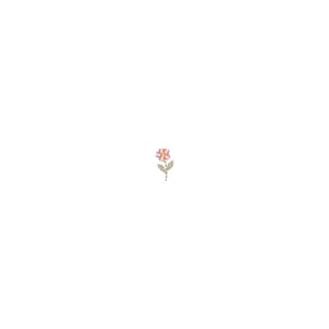 Matriz de bordado Mini Flor