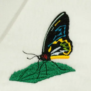 Matriz de bordado borboleta 95