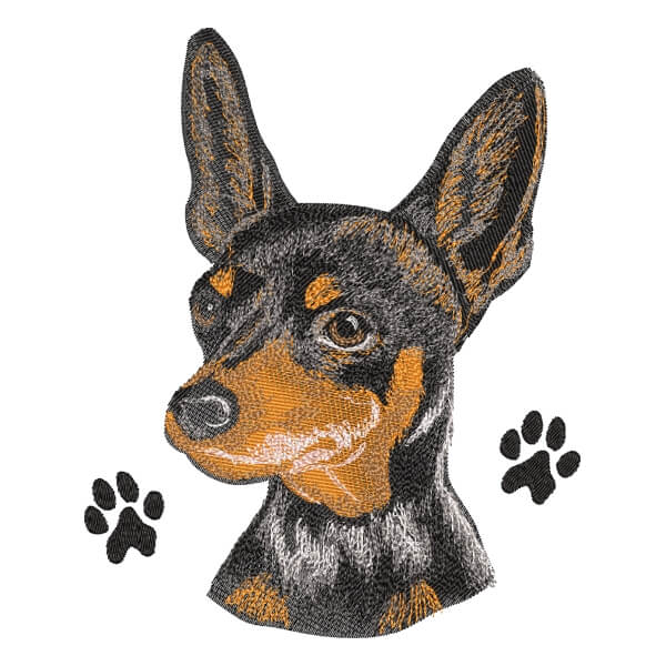 Matriz de Bordado  Cachorro Pincher (Realístico) 