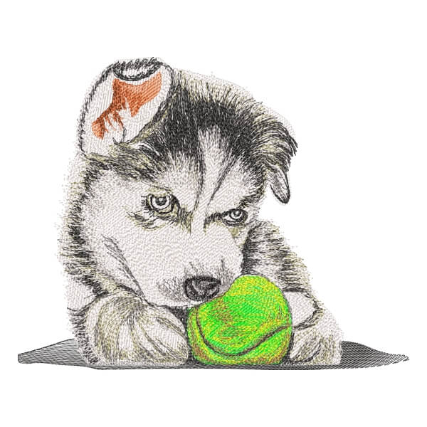 Matriz de Bordado  Cachorro Husky (Realístico) 