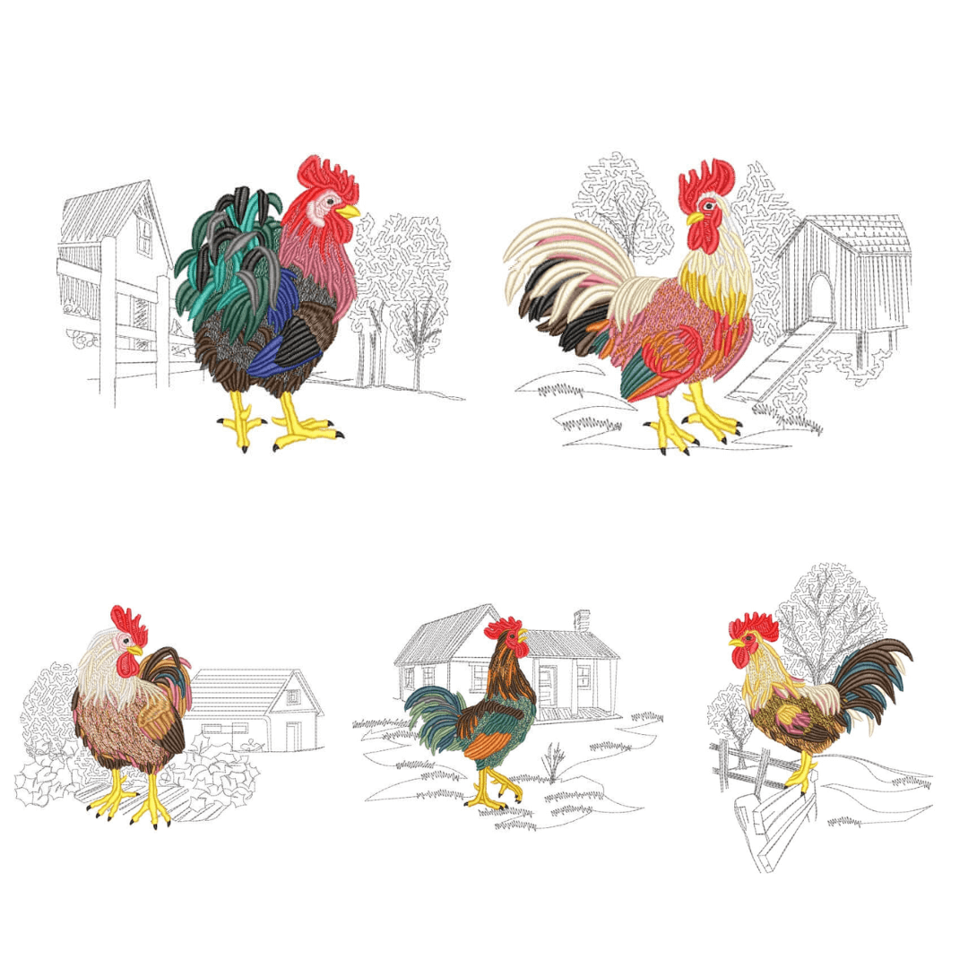 Pacote de Matrizes Galos na Fazenda  Pacote de Matrizes Galos na Fazenda