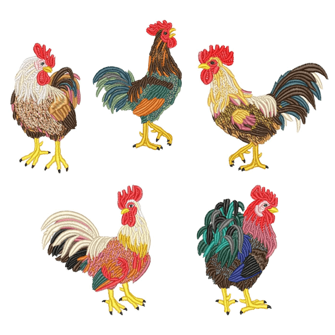 Pacote de Matrizes Galos  Pacote de Matrizes Galos