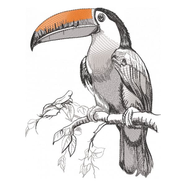 Matriz de Bordado  Tucano do sol (Realístico)