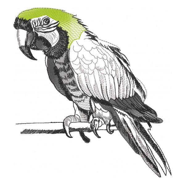 Matriz de Bordado  Arara Noble (Realístico)